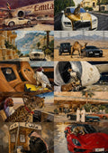 Arabian Collection